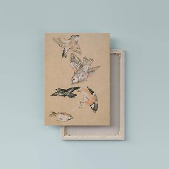 Dekoratif The Sparrows Duvar Kanvas Tablo
