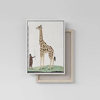 Dekoratif Giraffa Duvar Kanvas Tablo