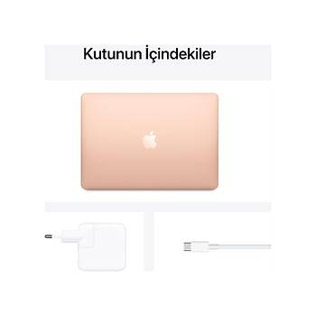 Apple 13