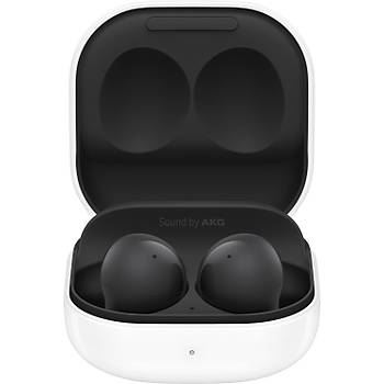 Galaxy Buds2 kulaklk