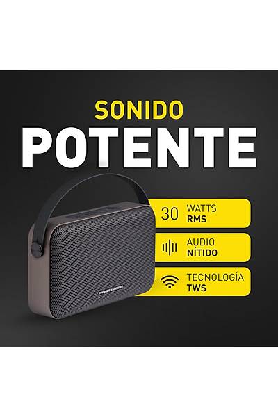 THONET VANDER ZIEGEL TWS B.SPEAKER 30W SIYAH