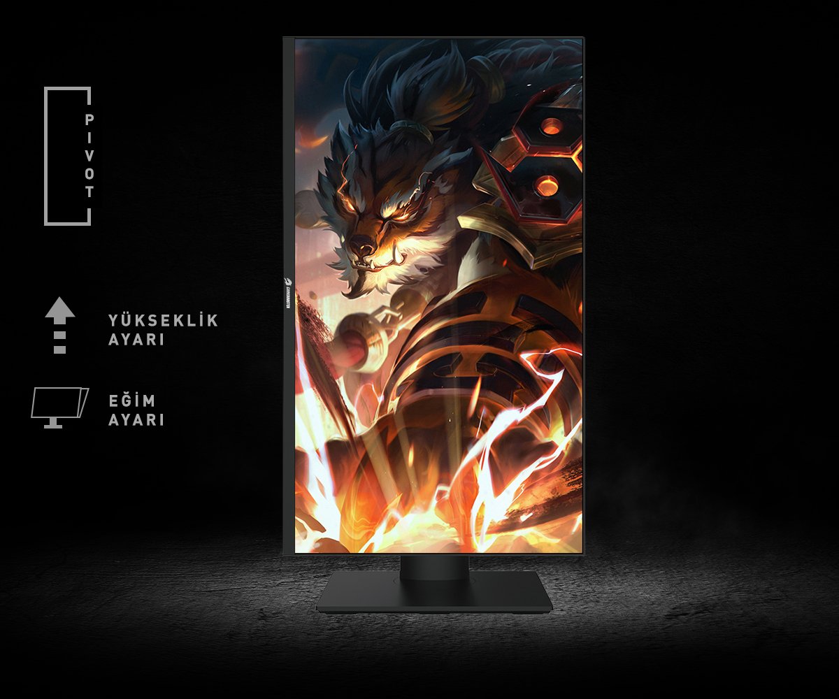 GameBooster Monit�r Detay G�r�n�m� 2