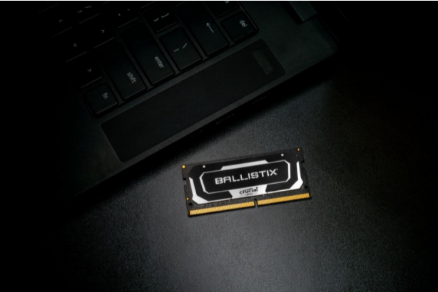 ram
