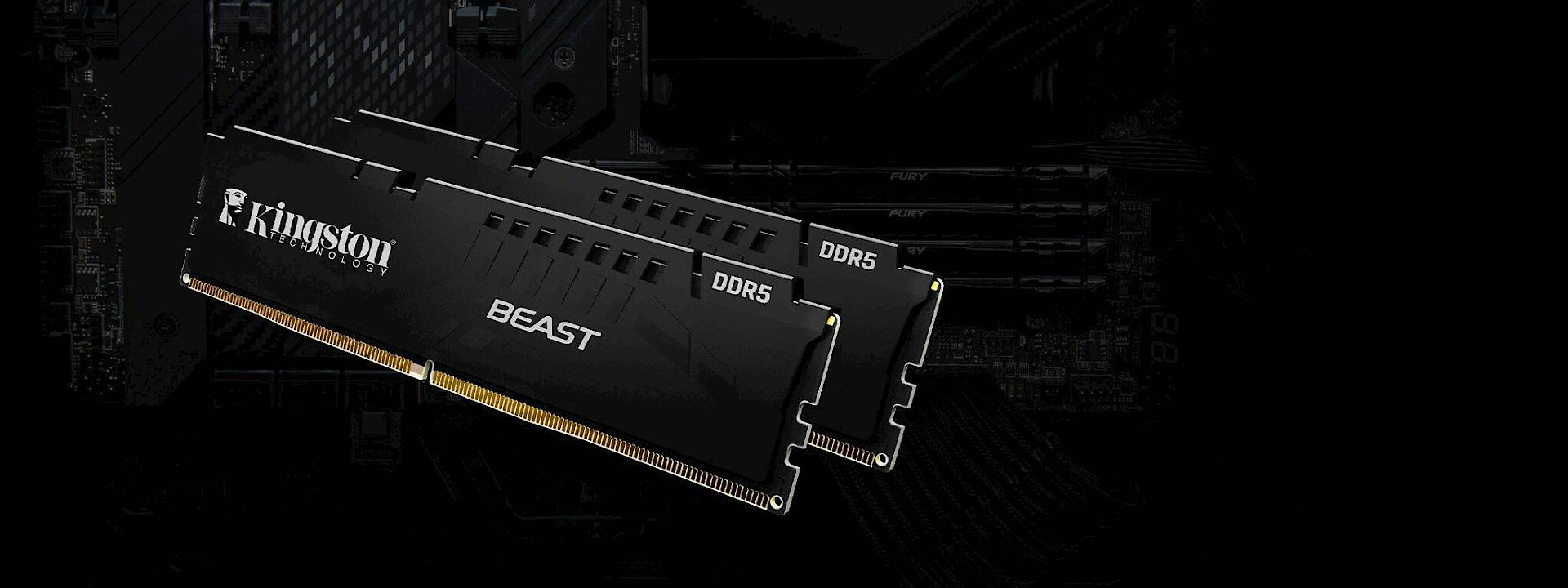 Kingston Beast Expo Black 32GB (2x16GB) 6000 MHz DDR5 CL36 RAM