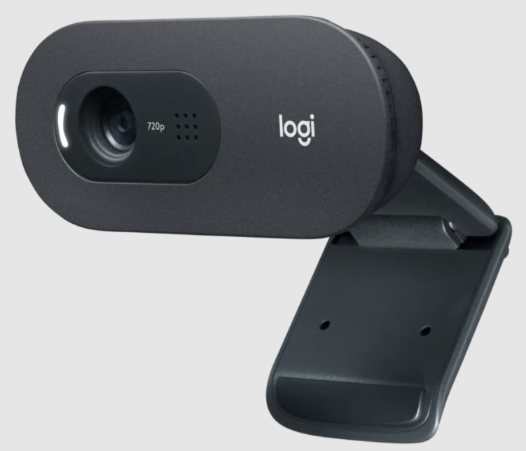 Logitech C505e HD 960-001372 V-U0018 Webcam