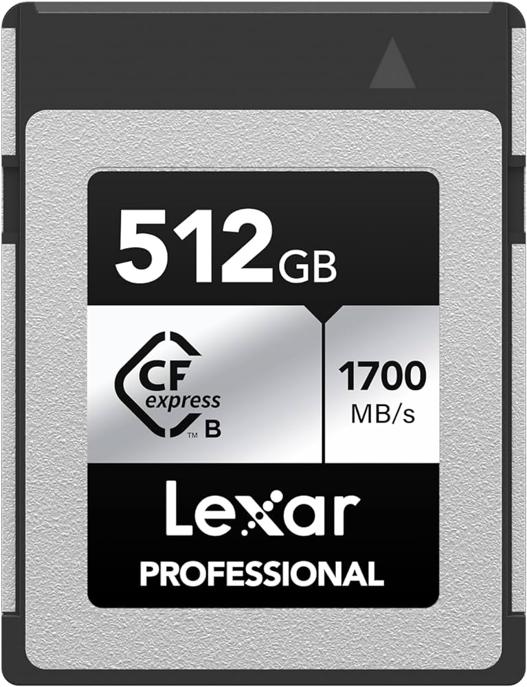 Lexar 512GB LCXEXSE512G-RNENU Profesyonel Gümüş SE CFexpress Tip B Hafıza Kartı Fotoğrafçılar Videografçılar 1700/1250 MB/sn