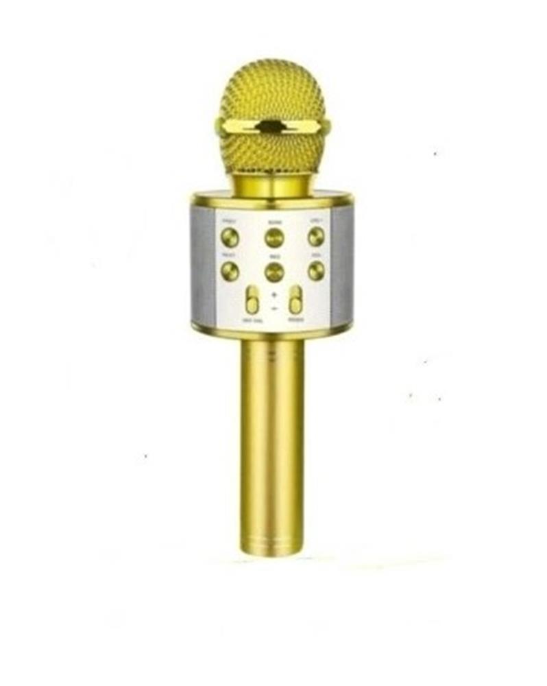 ACL WS-858 Wireless Karaoke Hoparlör