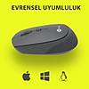 G�rsel 2