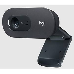 Logitech C505e HD 960-001372 V-U0018 Webcam