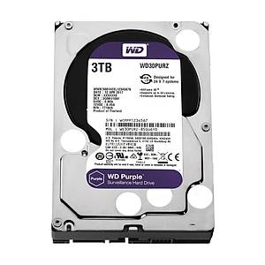 Western Digital Purple 3.5 Sata III 6Gb/s 3TB 64MB 7/24 G�venlik WD30PURZ HDD & Harddisk