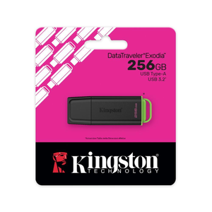 Kingston DataTraveler Exodia DTXG2/256GB USB 3.2 Flash Bellek