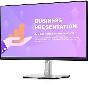 Dell P2422HE 23.8