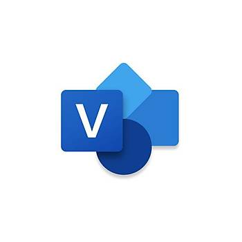 Microsoft Visio Pro 2024 - ESD - EP2-07110