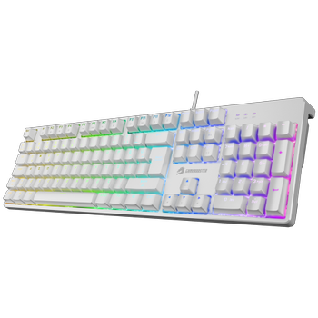 GameBooster G24W Enigma Rainbow Red Switch Beyaz Oyuncu Klavyesi