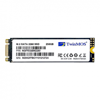 Twinmos NGFFEGBM2280 256 GB 580/550 MB/S M.2 2280 SATA 3 SSD