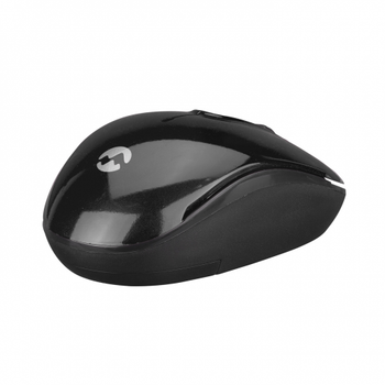 Everest SMW-666 Siyah USB 2.4 GHZ Optik Kablosuz Mouse
