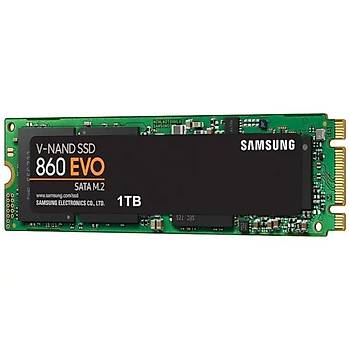 Samsung 860 Evo 1TB SSD m.2 Sata MZ-N6E1T0BW HDD & Harddisk