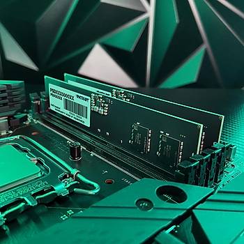 Patriot Signature Line 16GB (1x16GB) DDR5 4800MHz CL40 Ram (PSD516G480081)