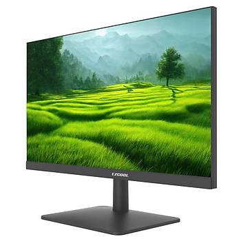 Ezcool Corp 21.5 n EZC22 100Hz 5ms Monitor