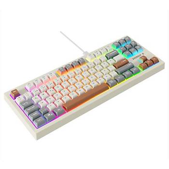 Everest KB-98 SILENT TKL Gri-Gri Mavi-Kahve Rainbow T�rk�e Q Membrane Klavye