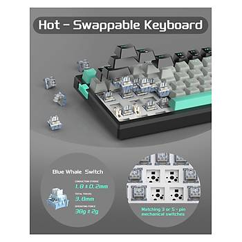 MageGee SKY98 99Tu� Blue Whale Switch Gasket Rgb Hot-Swap Kablolu Mekanik Oyuncu Klavyesi