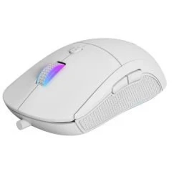 GameBooster M11 Dire RGB Aydnlatmal Beyaz Profesyonel Gaming Mouse