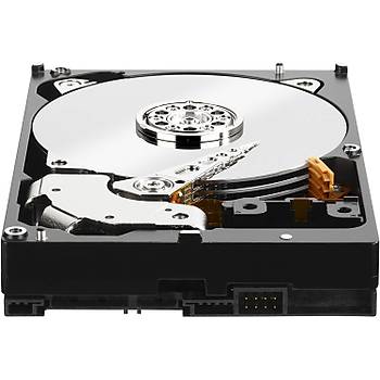 Western Digital Black 3,5 Sata III 6Gb/s 7200 RPM 4 TB 256MB WD4005FZBX HDD & Harddisk
