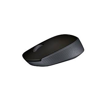 Logitech M171 910-004424 Siyah Optik Wireless Mouse