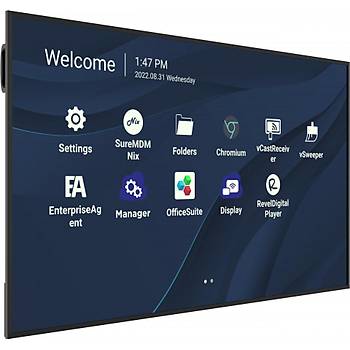 ViewSonic CDE5530 55