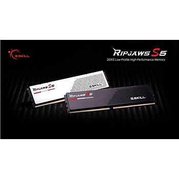 GSKILL Ripjaws S5 Siyah DDR5-6000Mhz CL36 16GB (1x16GB) PC Ram