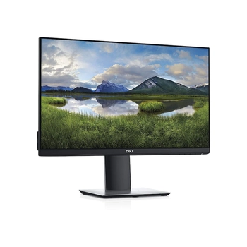 Dell P2319H 23