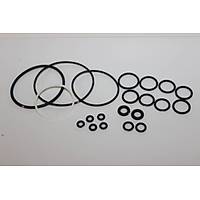 Graco Fusion (AP) Tabancas O-Ring Seti