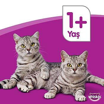 Whiskas Tavuklu Ksrlatrlm Yetikin Kedi Mamas 1.4 KG