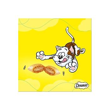 Dreamies Somonlu Kedi dl Mamas 6x60gr