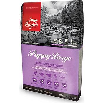 Orijen Puppy Large Tahlsz Byk Irk Yavru Kpek Mamas 11.4 KG