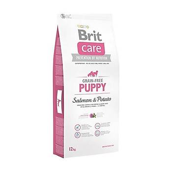 Brit Care Puppy Somonlu Tahılsız Yavru Köpek Maması 12 KG