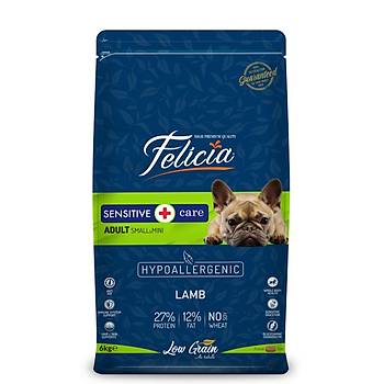 Felicia Adult Small&Mini Kuzu Etli Kk Irk Yetikin Kpek Mamas 6 KG