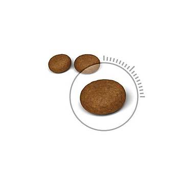 Royal Canin Hair Skin Hassas Tyl Yetikin Kedi Mamas 4 KG