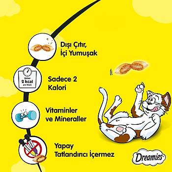 Dreamies Peynirli Kedi dl Biskvisi 6 x 60 G
