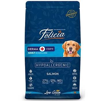 Felicia Dk Tahll Somonlu Orta ve Byk Irk Yetikin Kpek Mamas 15 KG