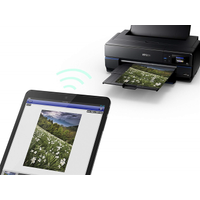 Epson Surecolor SC-P800 A2 Masast Fotoraf Yazcs / C11CE22301BX