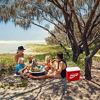Coca-Cola CCMP24 24 Litre Buzluk 