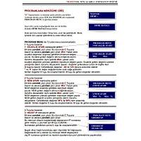 Electrosec TH-02EG 1 Kanal Is ve Nem Takip Sistemi Ethernet TCP / IP - GPRS Alarm ve Otomasyon Sistemi + 1 Adet Is Nem Probu +16V Adaptr