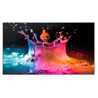 Samsung Videowall, Video Duvar UDE-B Serisi 55 
