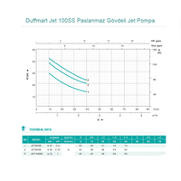 Duffmart Jet 100SS Paslanmaz Gvdeli Jet Pompa