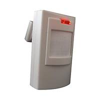 Electrosec EPD-312 Digital PIR Dedektr