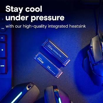 Crucial T710 4TB PCIe Gen5 NVMe M.2 SSD CT4000T710SSD5 Heatsink Soutuculu