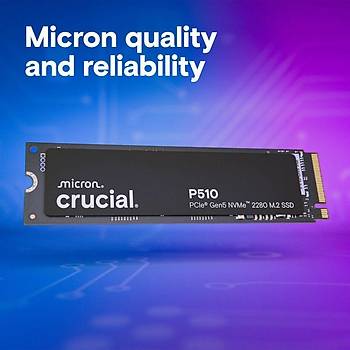 Crucial P510 1TB PCIe Gen5 NVMe 2280 M.2 SSD CT1000P510SSD8 (11000-9500 MBs)
