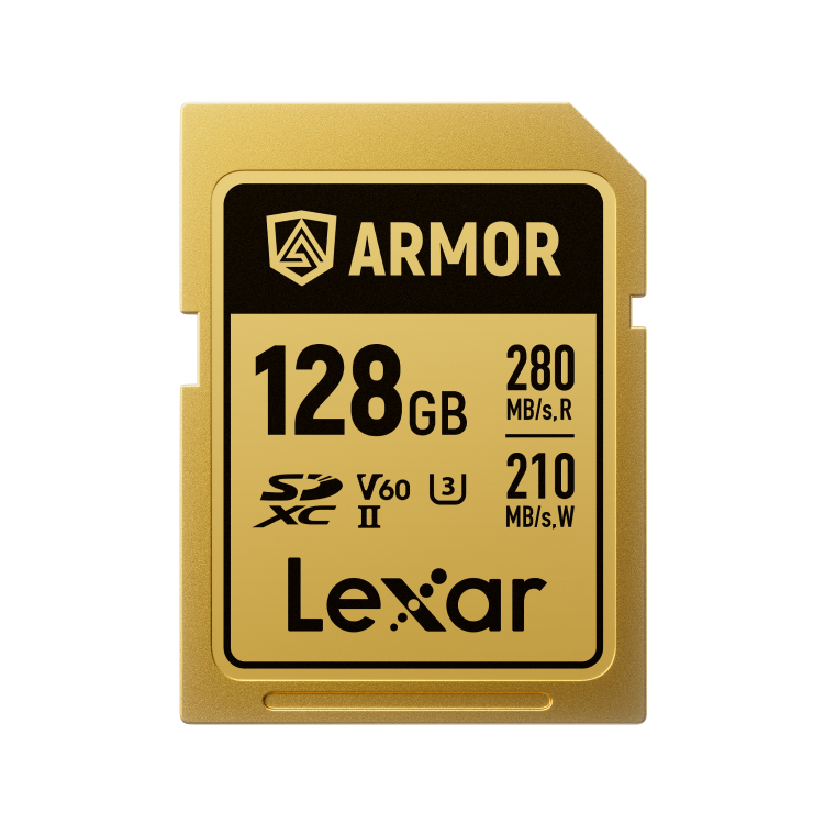 Lexar LSDAMGL128G-RNNNG 128 GB 280-210Mb/s Armor Gold C10 V60 U3 SD Hafıza Kartı