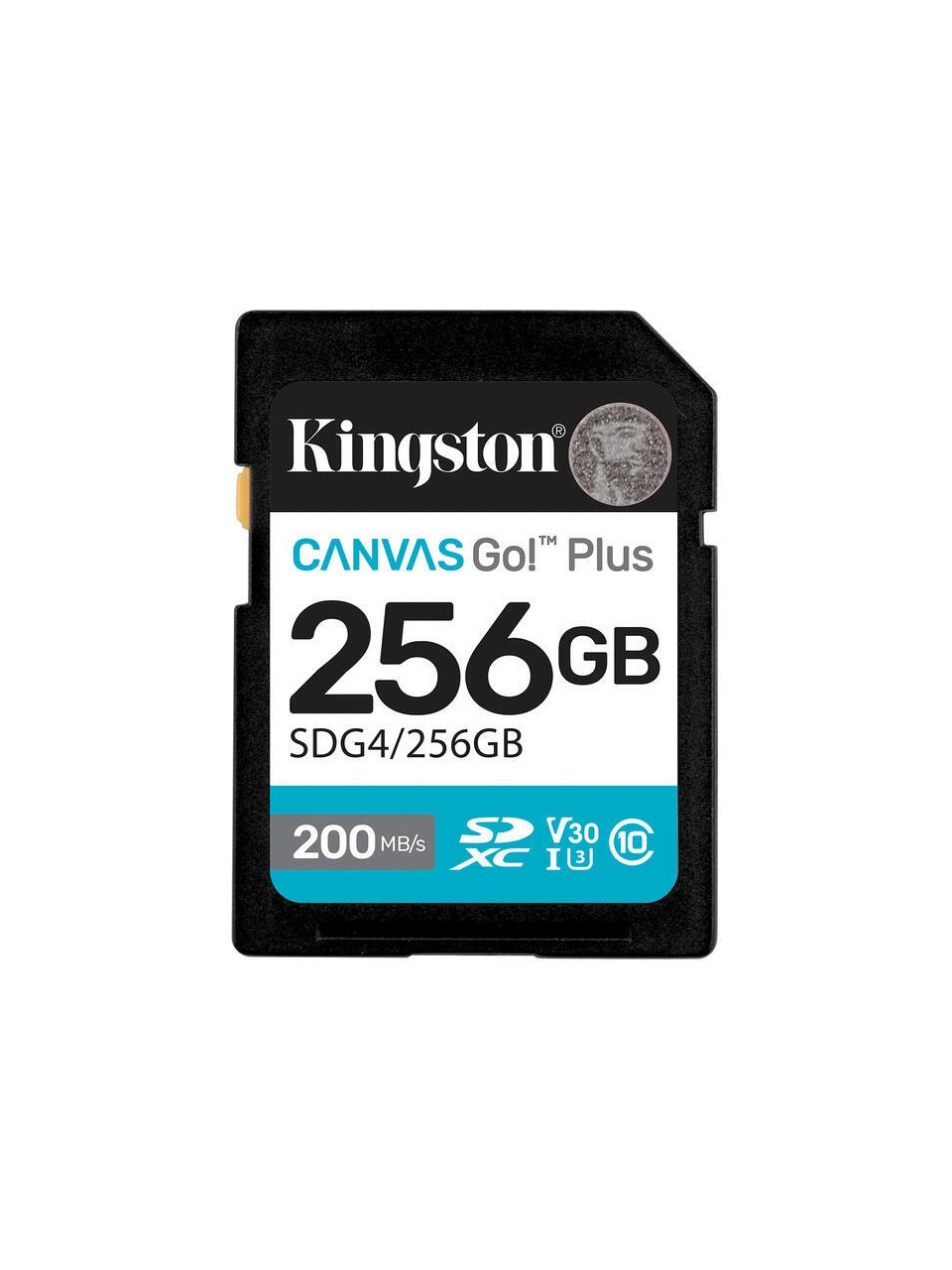 Kingston SDG4/256GB 256 GB Canvas Go Plus Gen4 200Mb/s C10 UHS-I U3 V30 SD Hafıza Kartı